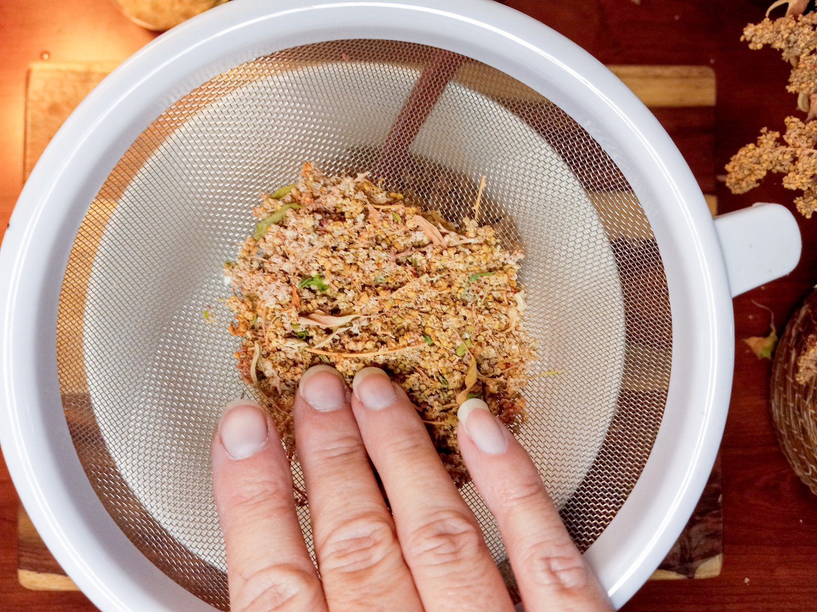 mesh strainer with quinoa seeds and plant material