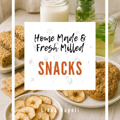 book cover for a snacks cookbook