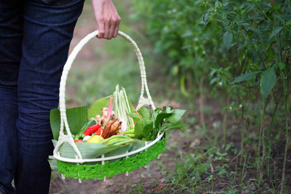 basket of fresh produce